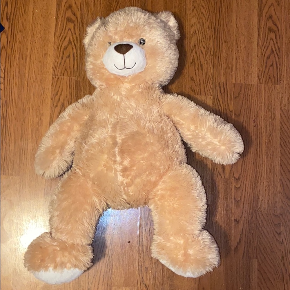 Medium sized Teddy Bear